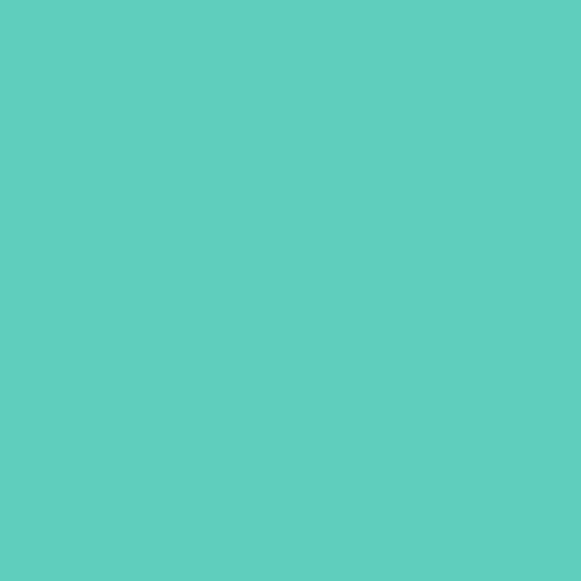 Oracal 751 Brillant Menthe