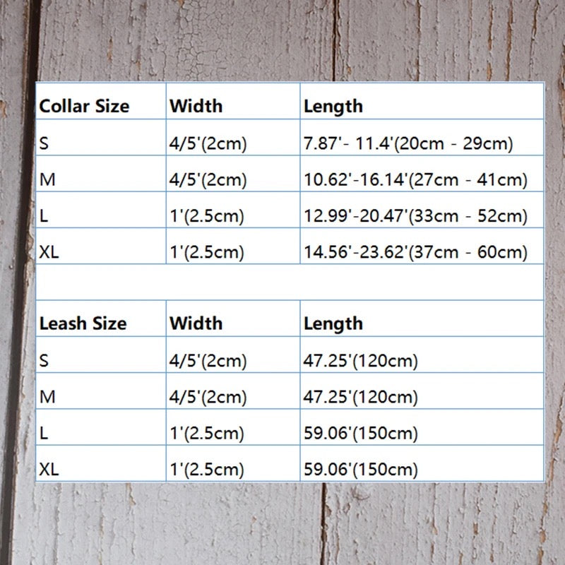 Baby Boo Engraved Dog Collar and Leash Set | Personalized Walking Accessories