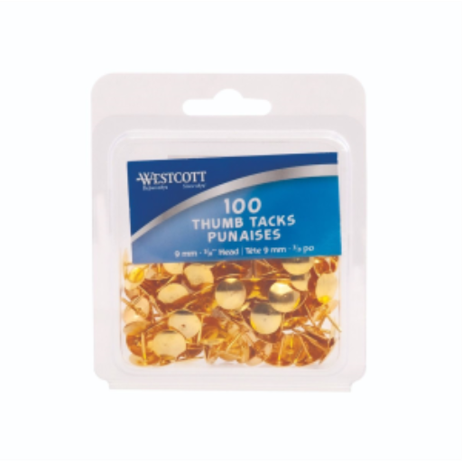 Brass Thumb Tacks 100/Clamshell /
Punaises laitonnées, 100 par coquille