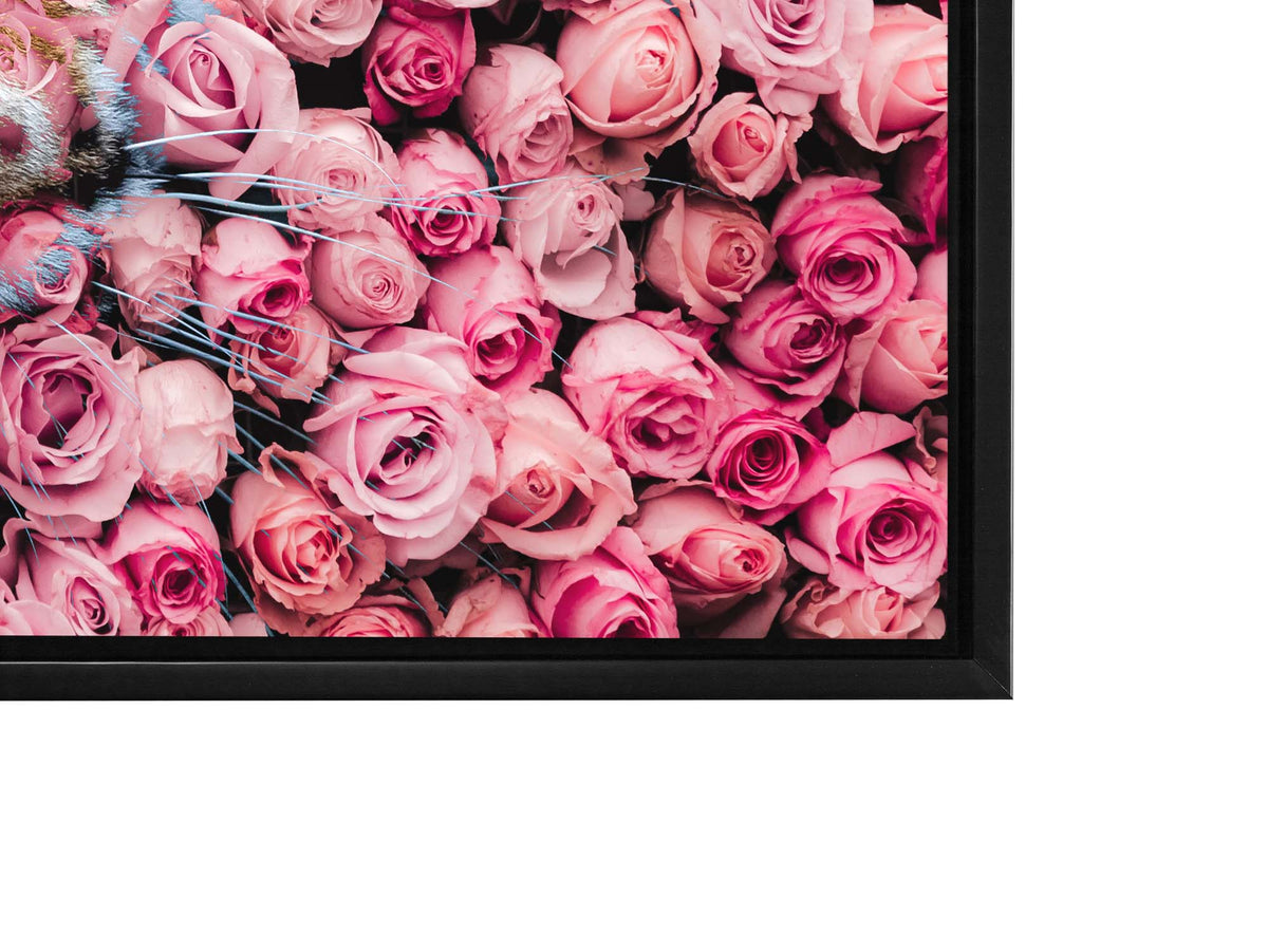 Tigre dans la rose - Impressions sur toile d'animaux sauvages - Art animalier - Vernis doré