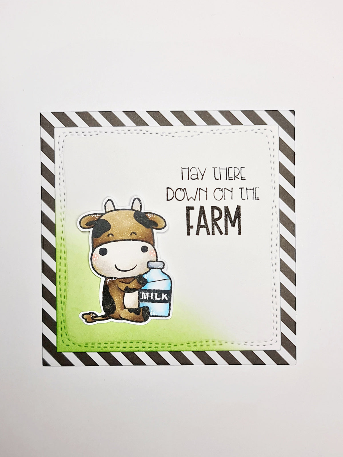 CCL Tampon transparent Holy Cow Friendz 14 pièces