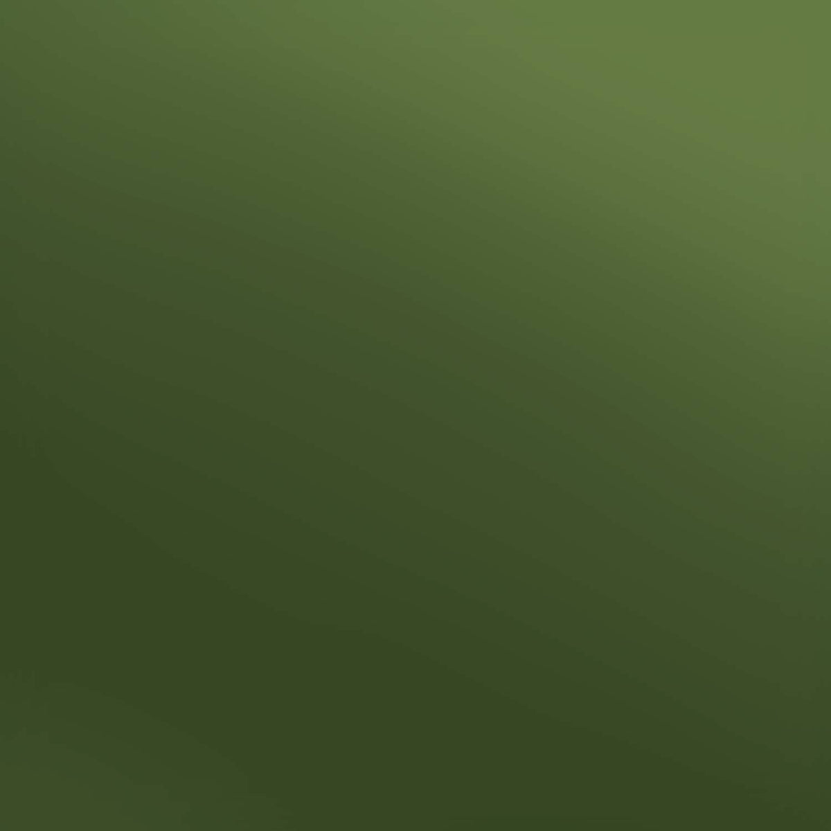 Siser Olive Electric