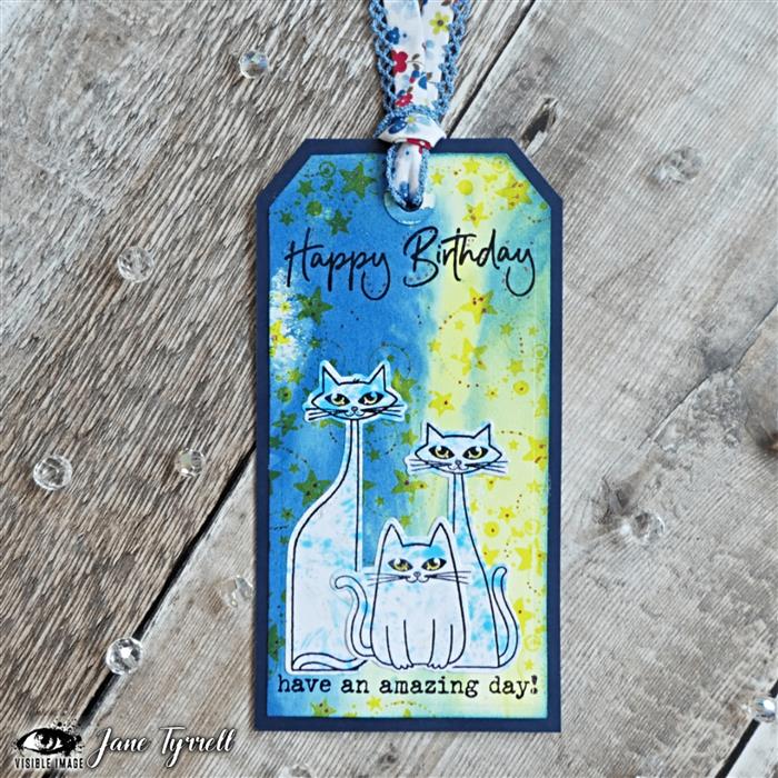 Visible Image That Lovin' Feline - Set de tampons A6