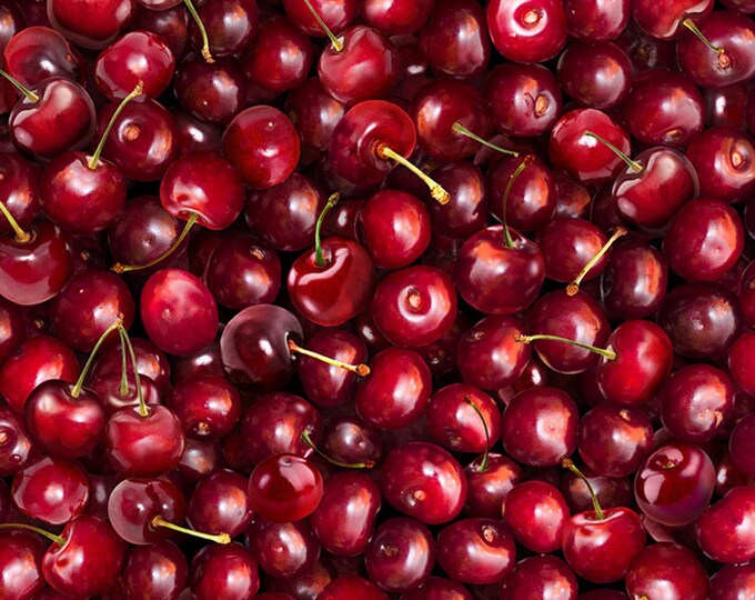 Timeless Treasures- Fruit CD1372- Cerises