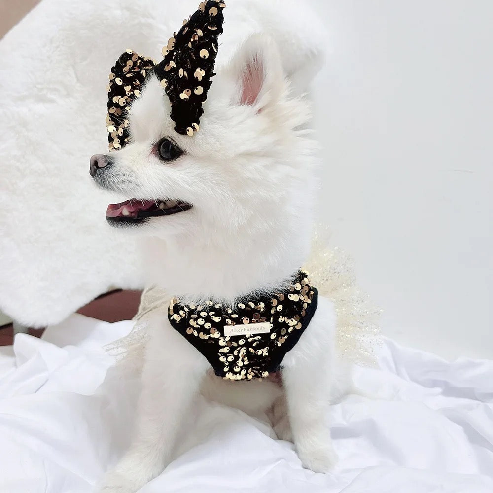Twinkle Star Dog Dress Set | Party Dress with Matching Bow