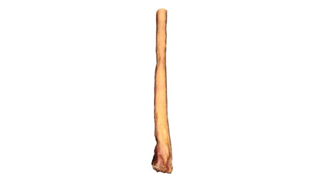 Bâtonnet à mâcher Monster de 30 cm