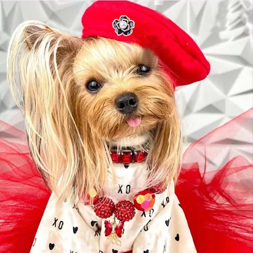 Dog Beret Hat | Coco Signature Dog Beret