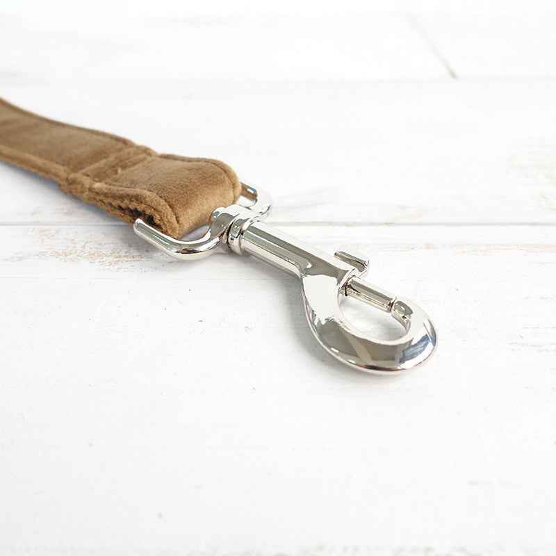 Pet dog ring leash
