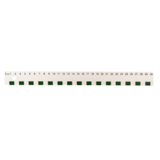 30cm White Plastic Ruler / 
Règle blanche en plastique de 30 cm (cm)