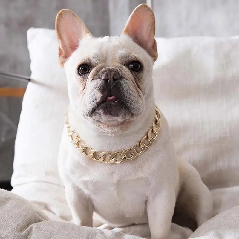 Gold Chain Dog Necklace | Pet Chain Collar