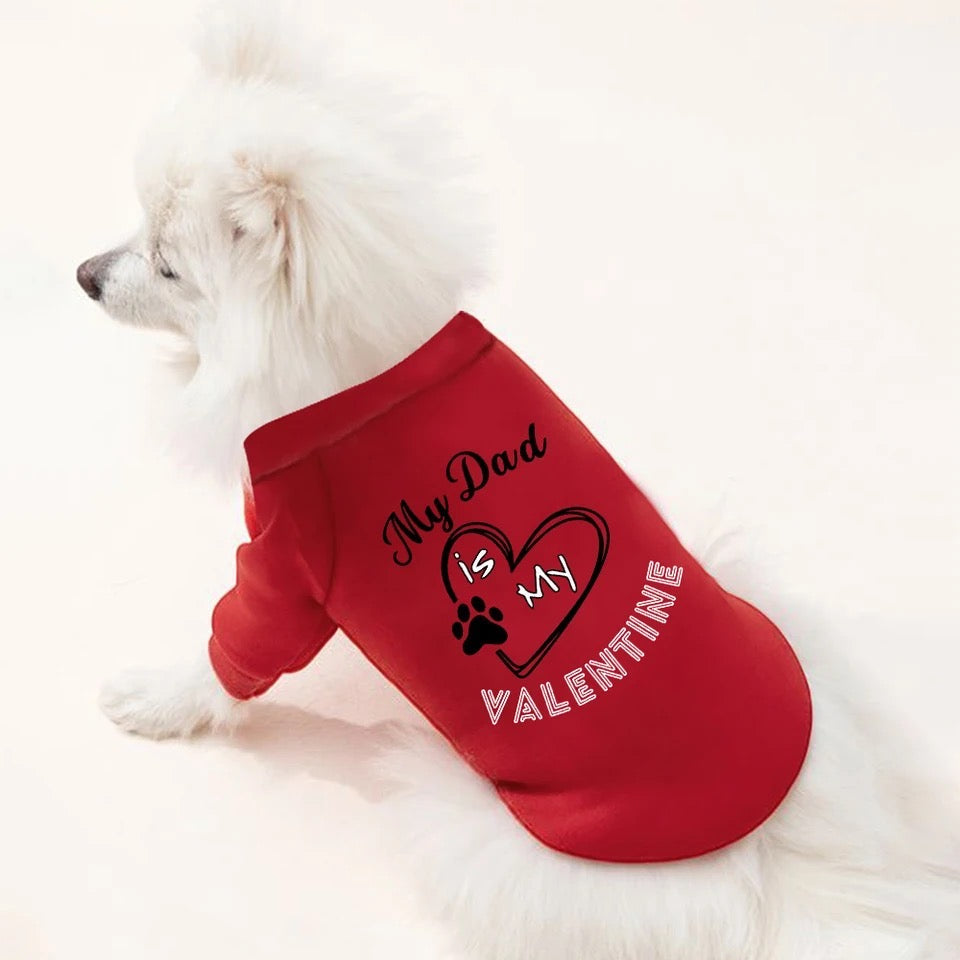Mon papa est ma Saint-Valentin (Pull)