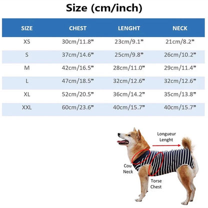 Christian Dogior Sweater – Dog Sweater