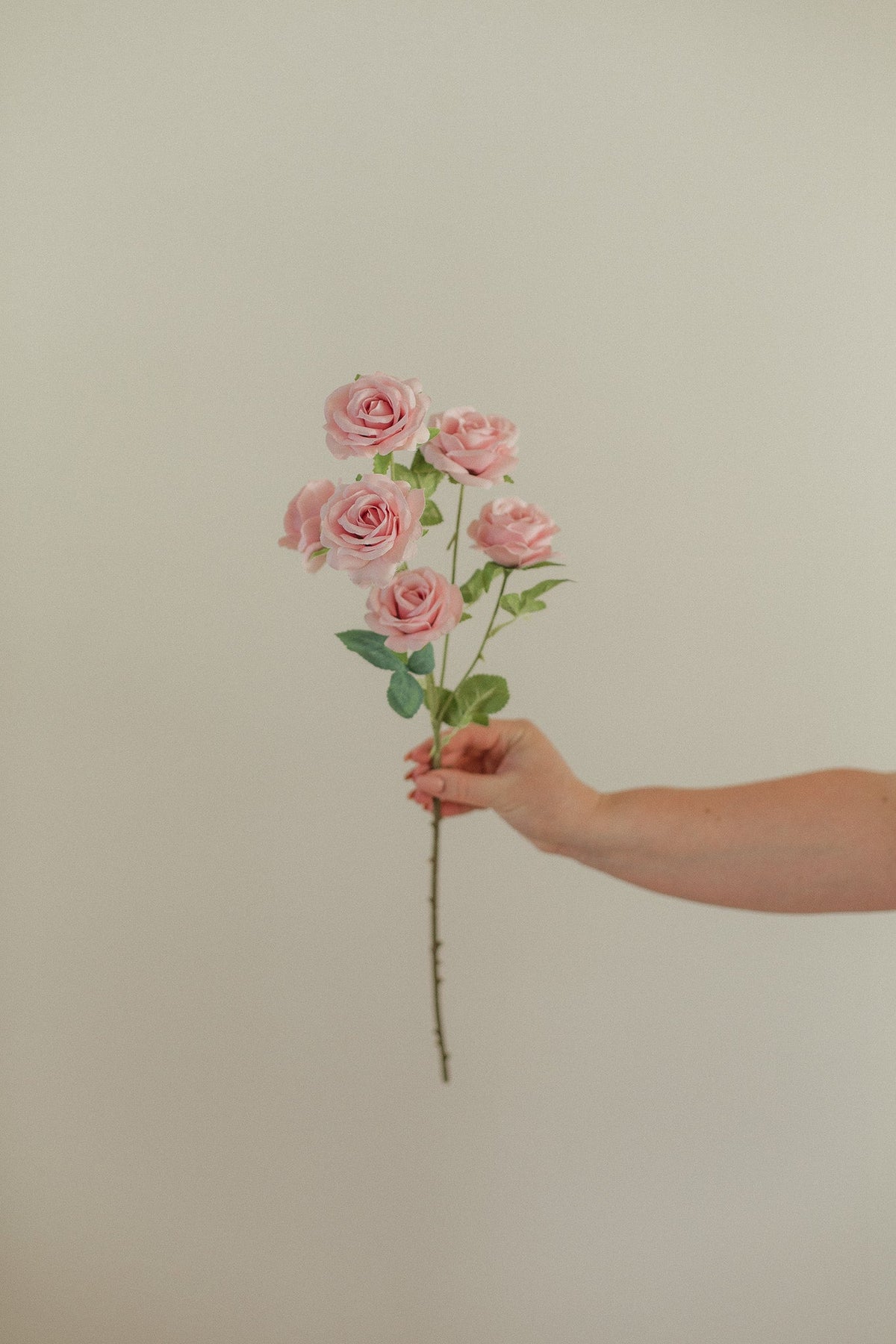 Small Rose Stem
