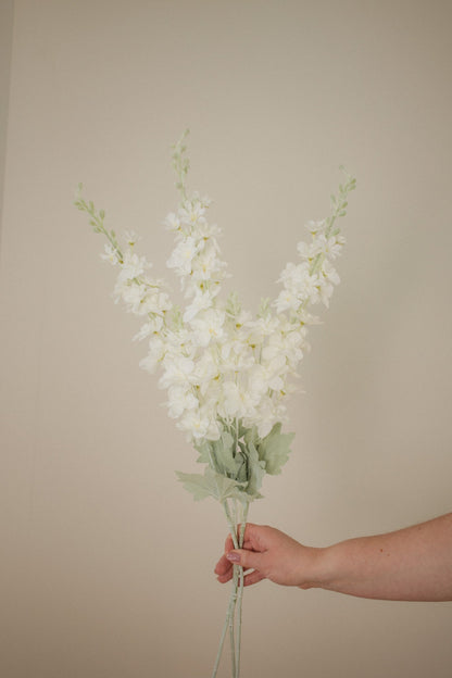 Perle Polianthes