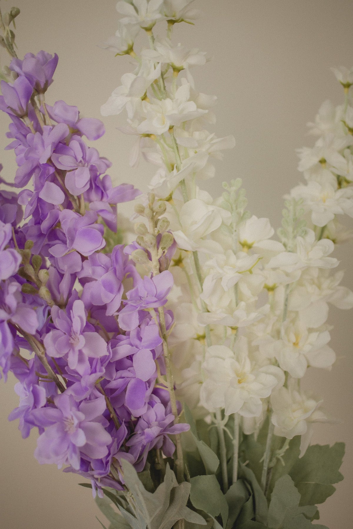 Perle Polianthes