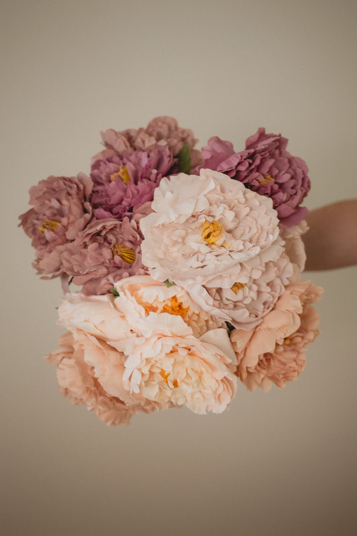 London Peony