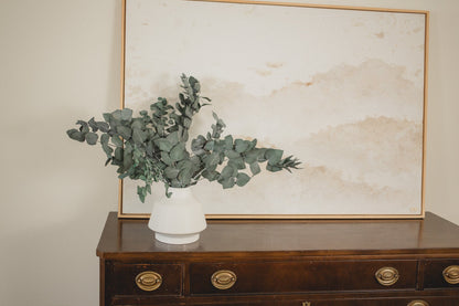 Eucalyptus Cinerea Italien