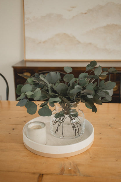 Eucalyptus gomphocephala