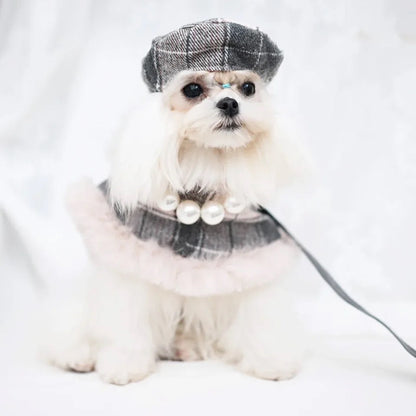 Ensemble Harnais, Chapeau et Laisse pour chien Peaky Street Tweed