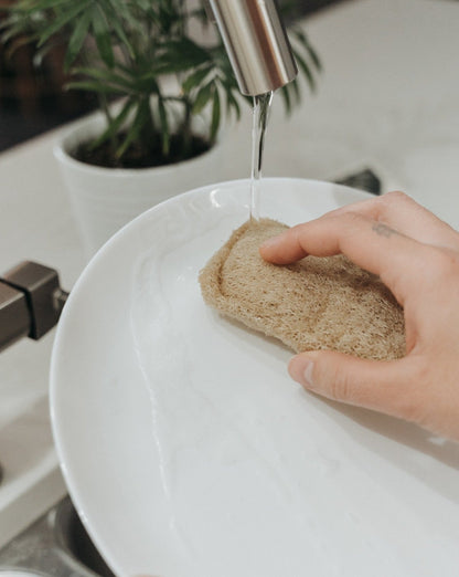 Éponge de loofah naturelle (lot de 3)