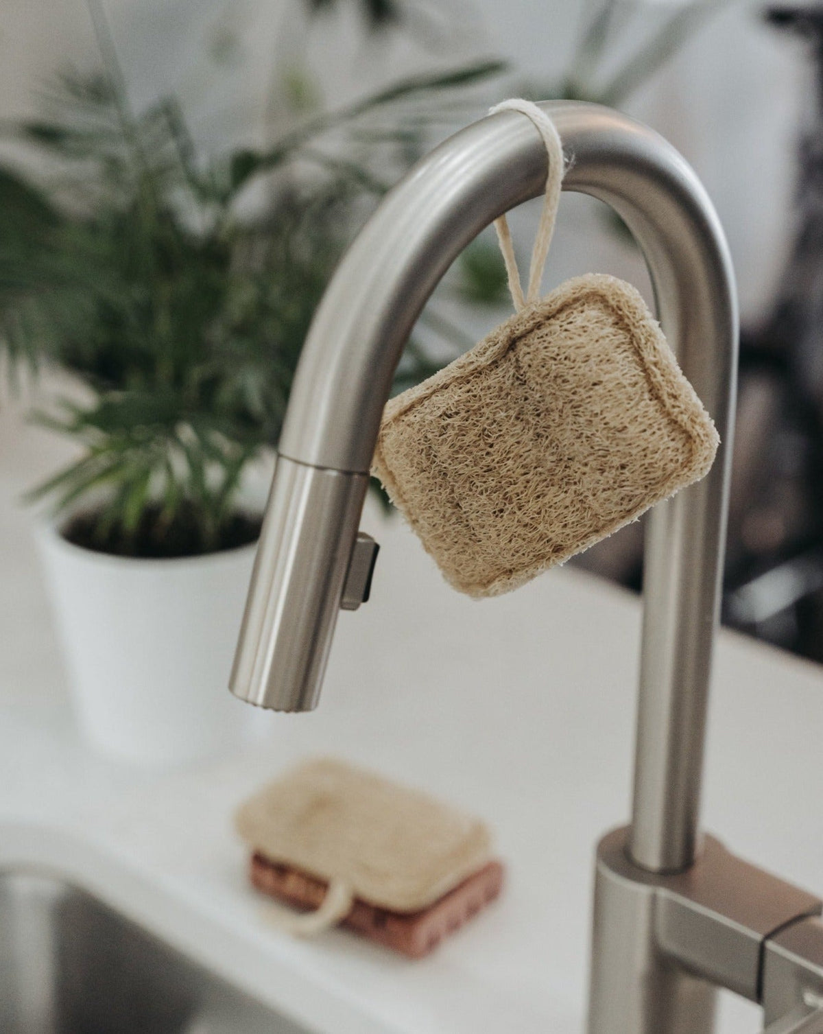 Éponge de loofah naturelle (lot de 3)