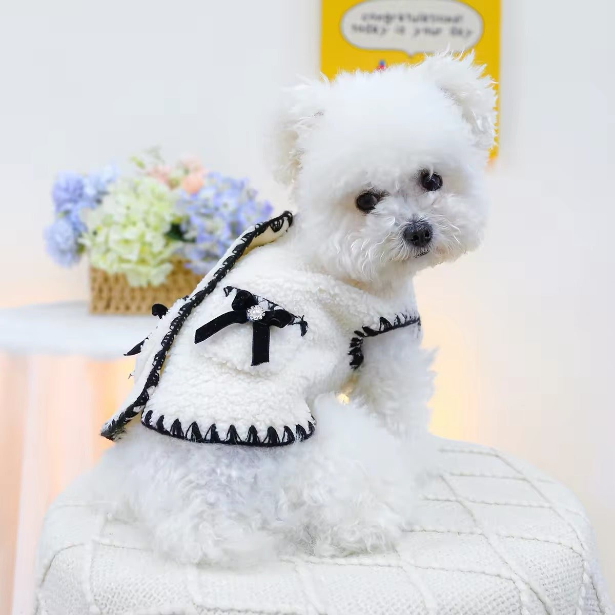 Zelda Vest – Luxury Fur-Trim Dog Vest