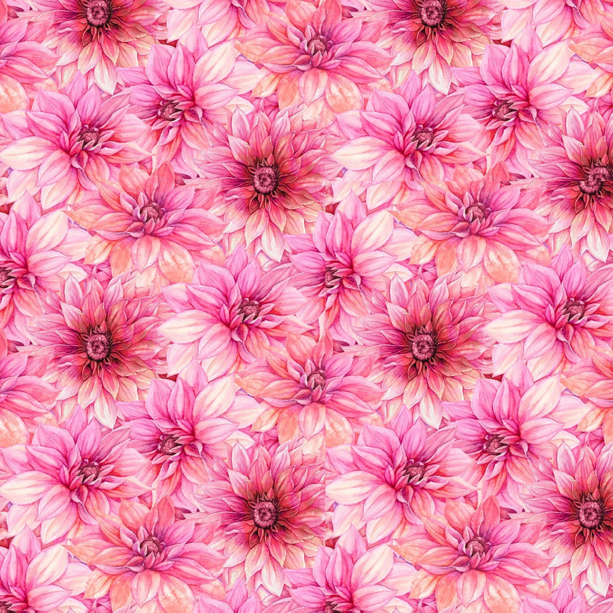 Cador - Nancy Mink - In Bloom - Pink