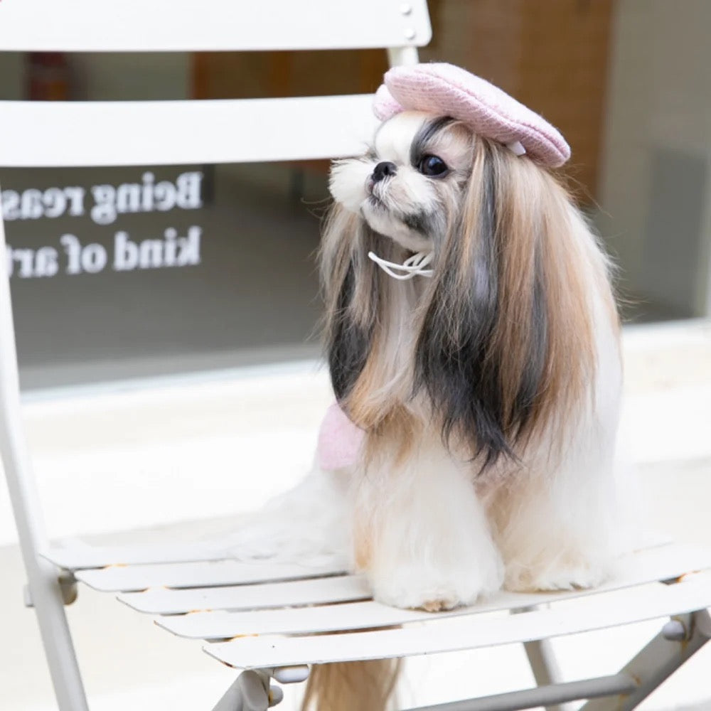 Paris Dog Dress & Hat Set – Elegant Outfit for Dogs