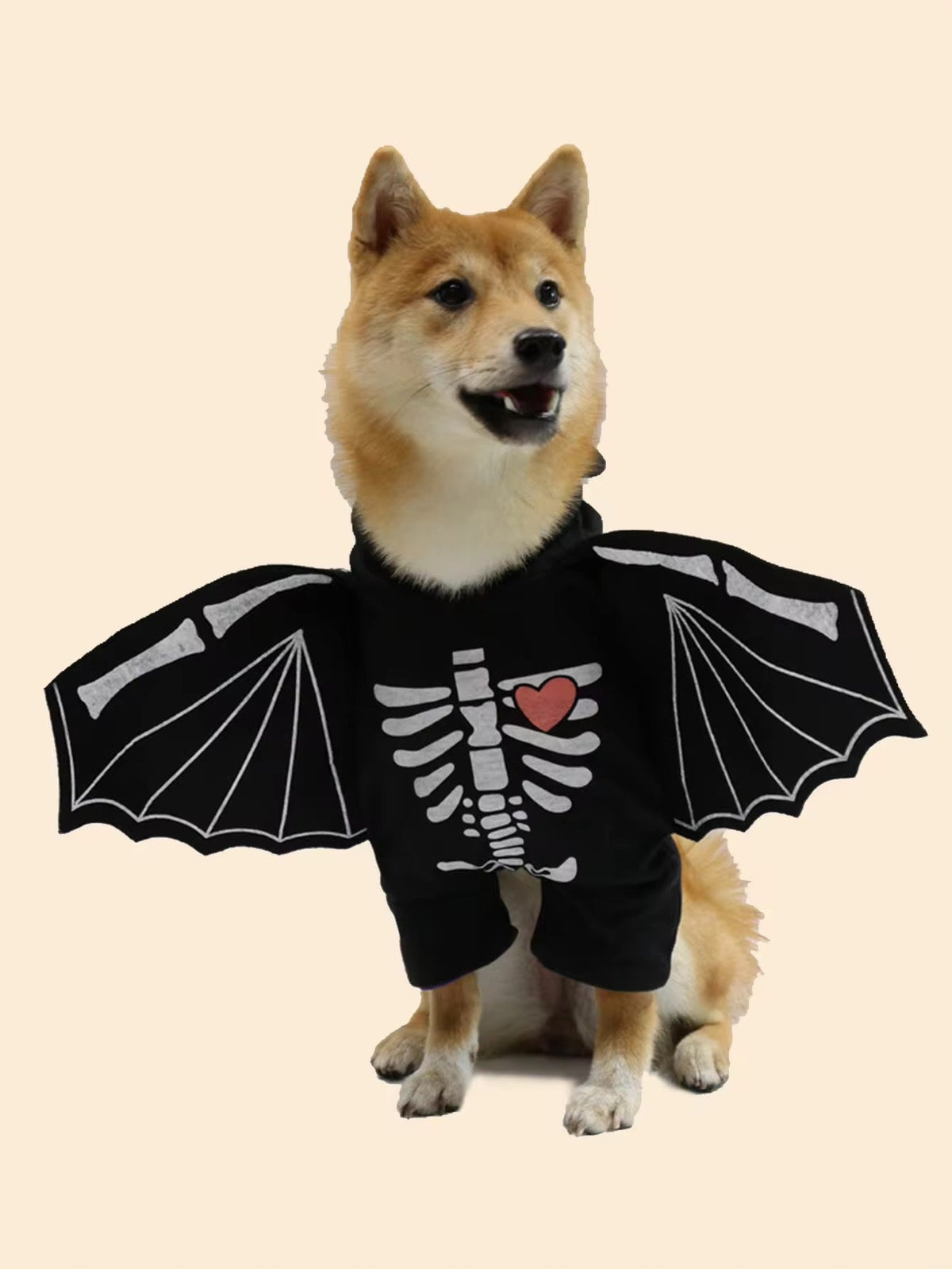 Déguisement d'Halloween Chien-Chauve-Souris | Costume pour Chien avec Chapeau
