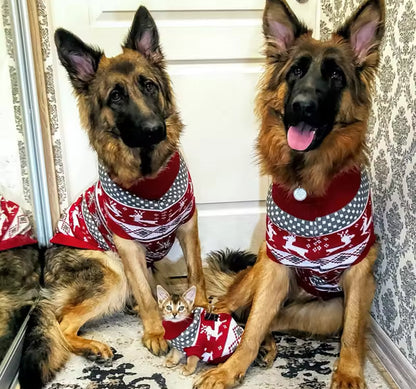 Pull de Noël pour chien | Pull d'hiver pour chien