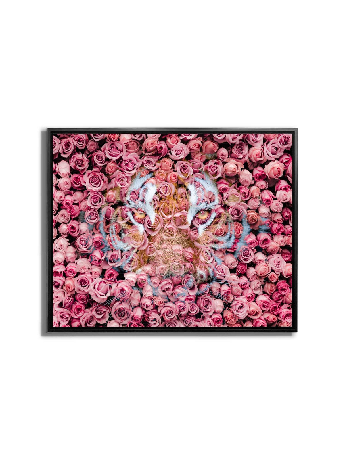 Tigre dans la rose - Impressions sur toile d'animaux sauvages - Art animalier - Vernis doré