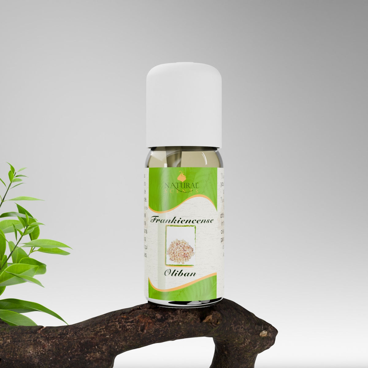 Natural Scents Frankincense Essential Oil