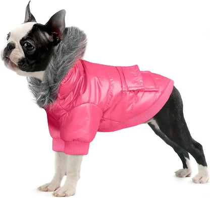 Veste à capuche en fourrure pour chien | Manteau de luxe à capuche pour chien