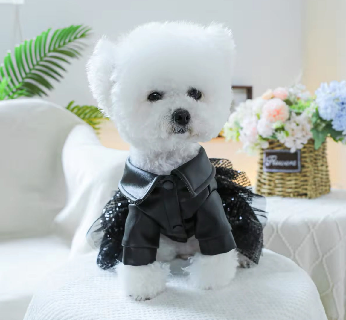 Robe pour chien « She’s a Rockstar » | Robe pour chien pour les grandes occasions