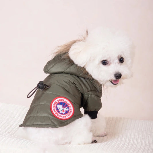 Arctic Shield Dog Jacket | Insulated Winter Dog Jacket with Fur Hood