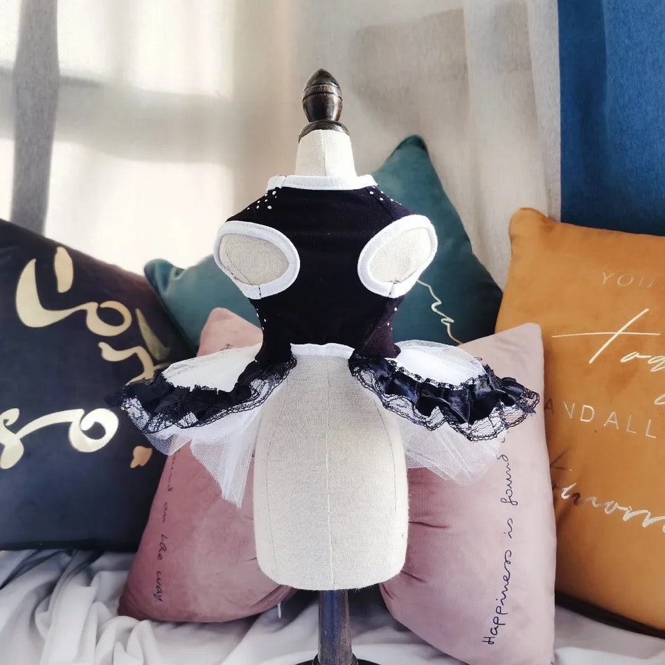 Amani Tutu Dog Dress