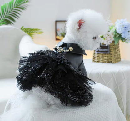 Robe pour chien « She’s a Rockstar » | Robe pour chien pour les grandes occasions