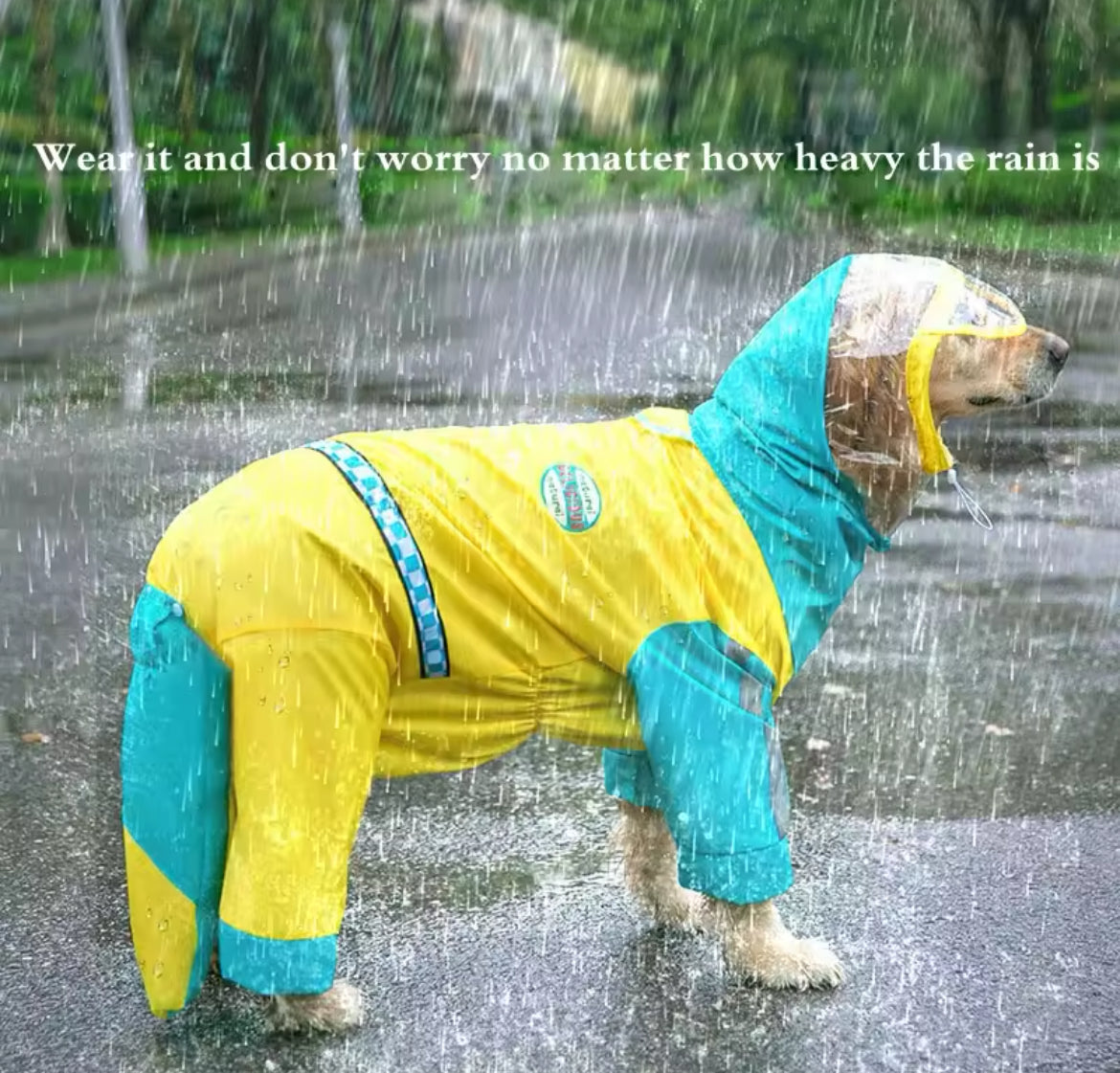 Imperméable pour chien Vancouver | Veste imperméable pour grands chiens