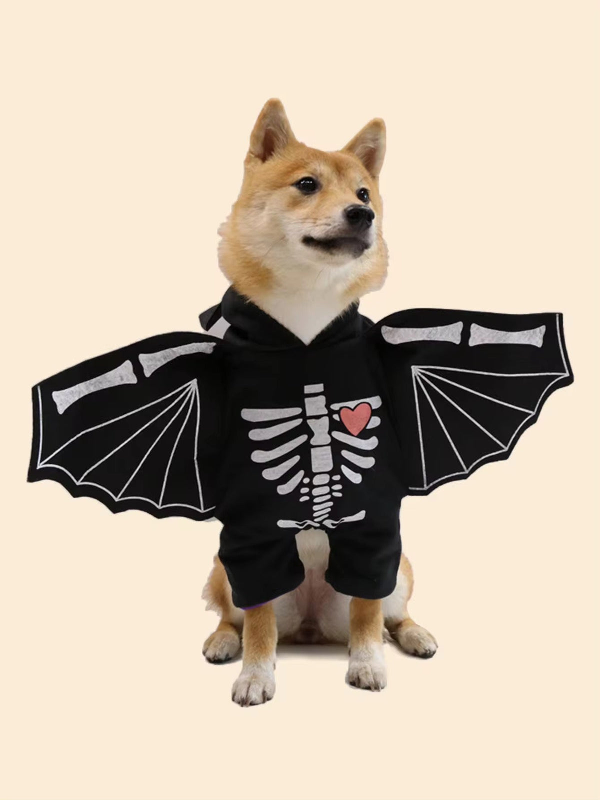 Déguisement d'Halloween Chien-Chauve-Souris | Costume pour Chien avec Chapeau