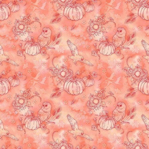 Chouettes de nuit par Kathleen Francour - Lance-citrouille en contour