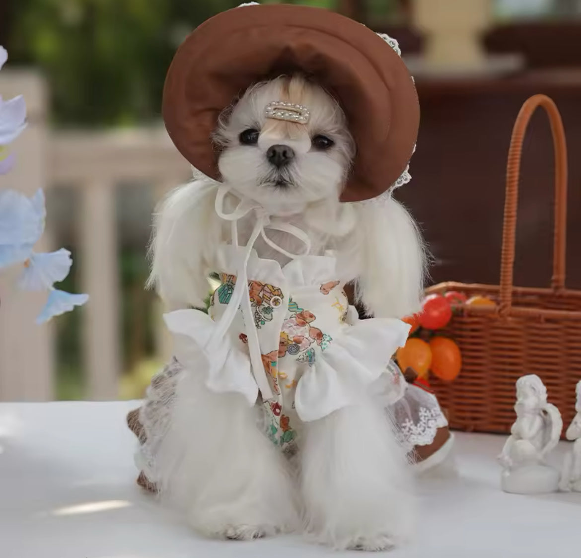 Ensemble Robe et Chapeau Médiévaux – Tenue de Luxe Fantaisie pour Chien