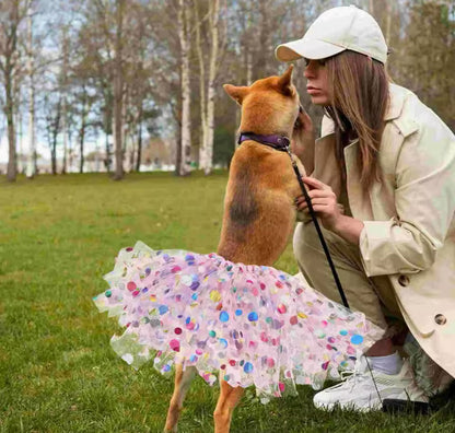 Princesse Toutou Tutu – Robe de Luxe en Tulle pour Chiens