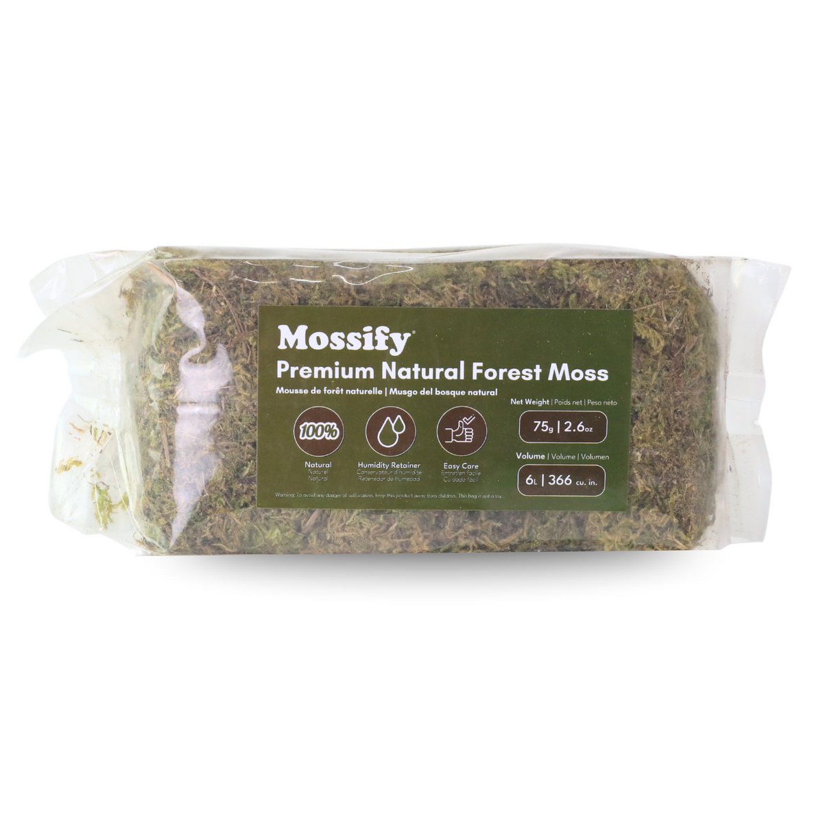 Premium Natural Forest Moss