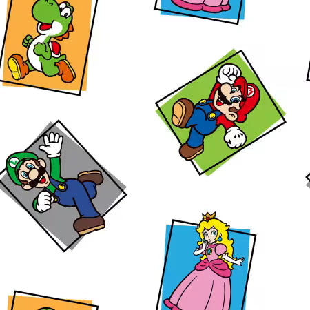 Super Mario Bros. - Bloc Personnage