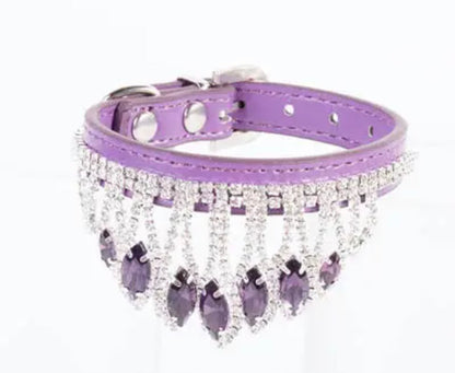 Royal Highness Dog Collar | Rhinestone Dog Collar