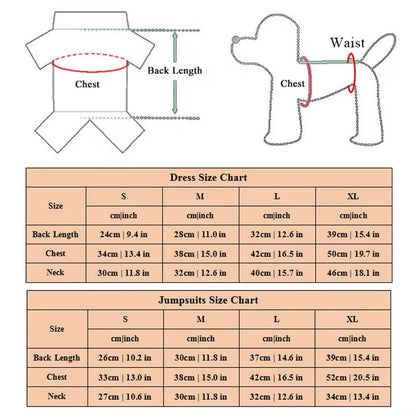 Do Not Enter Dog Costume | Halloween Dog Costume