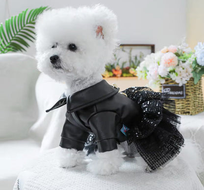 Robe pour chien « She’s a Rockstar » | Robe pour chien pour les grandes occasions