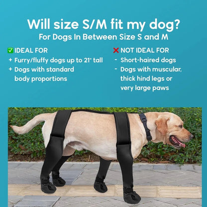 Dog Boots
