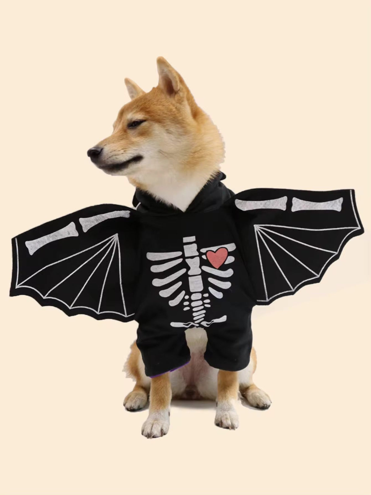 Déguisement d'Halloween Chien-Chauve-Souris | Costume pour Chien avec Chapeau