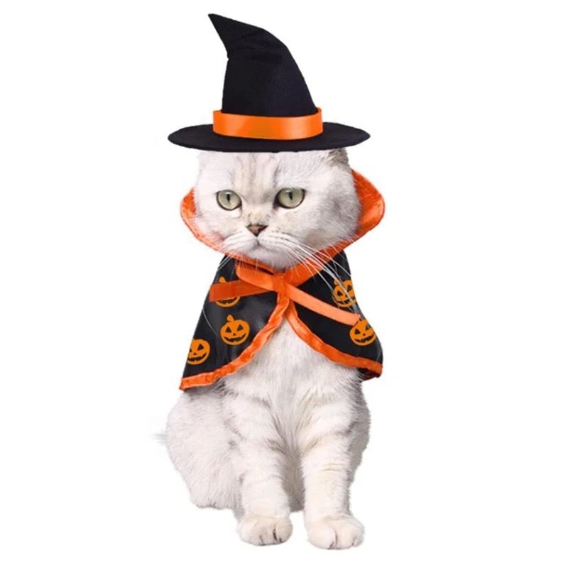 Costume d'Halloween Sorcière Citrouille